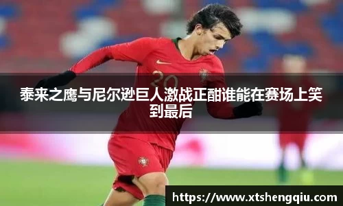 泰来之鹰与尼尔逊巨人激战正酣谁能在赛场上笑到最后